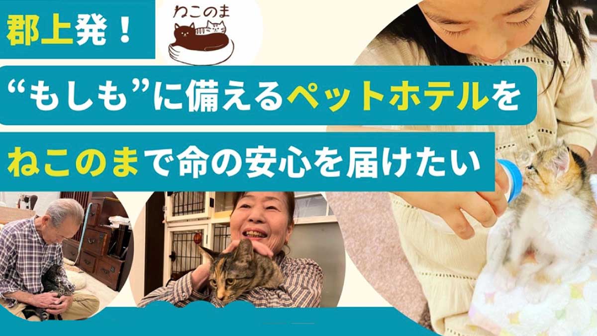 ねこのま