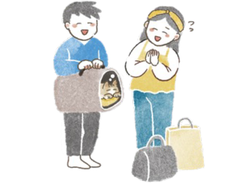 ねこのま